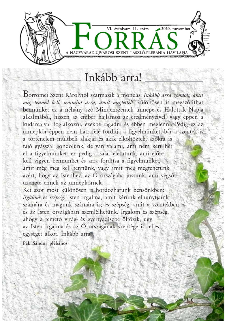 Forrás 2020 november