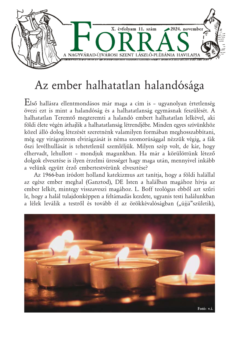Forrás 2024 november