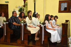 DSC 0109-1024x683