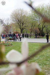 DSC00680