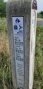 252