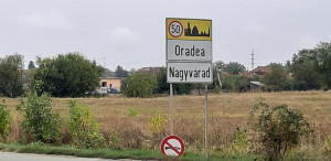 409